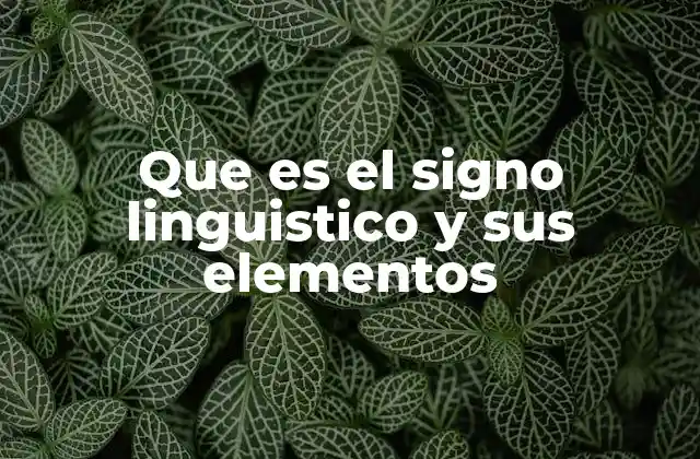 Que es el Signo Linguistico y Sus Elementos