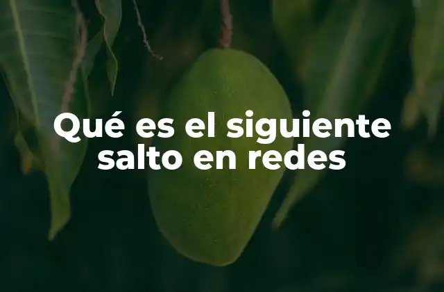 Qué es el Siguiente Salto en Redes