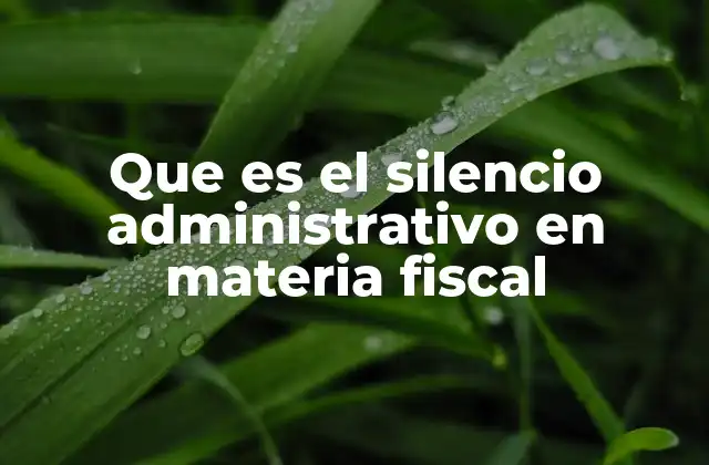 Que es el Silencio Administrativo en Materia Fiscal