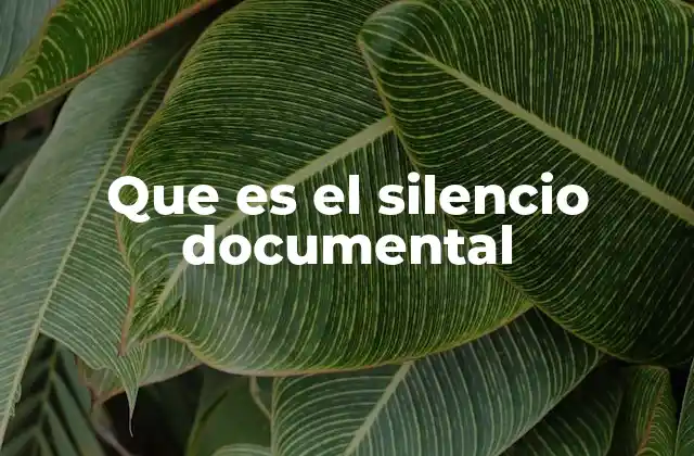 Que es el Silencio Documental