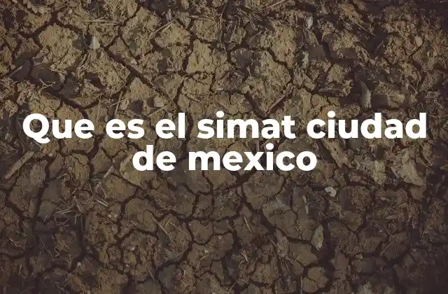 La importancia de la integración del transporte en la CDMX