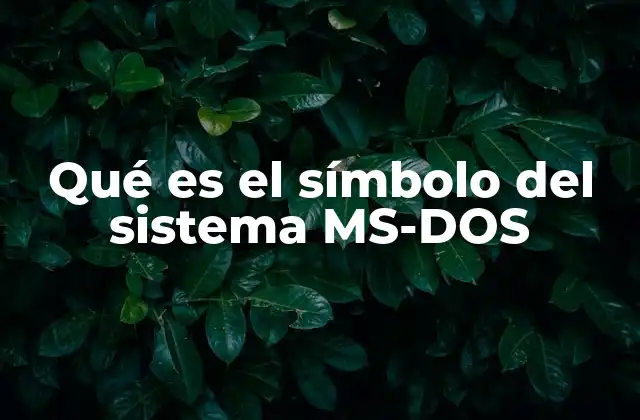 Qué es el Símbolo Del Sistema Ms-dos