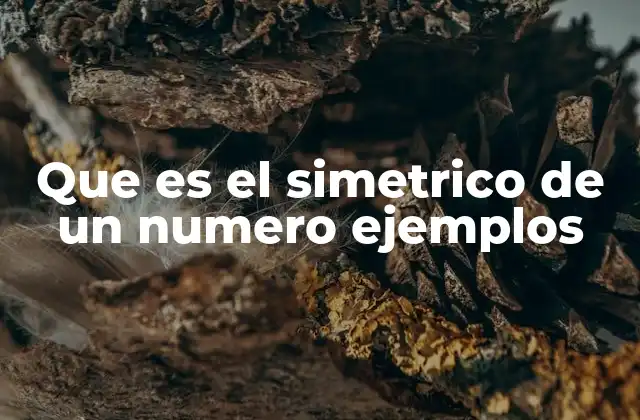 Que es el Simetrico de un Numero Ejemplos