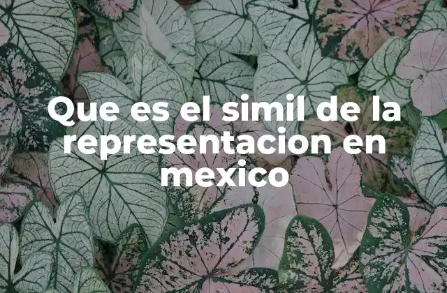 El sistema electoral mexicano y la representación proporcional