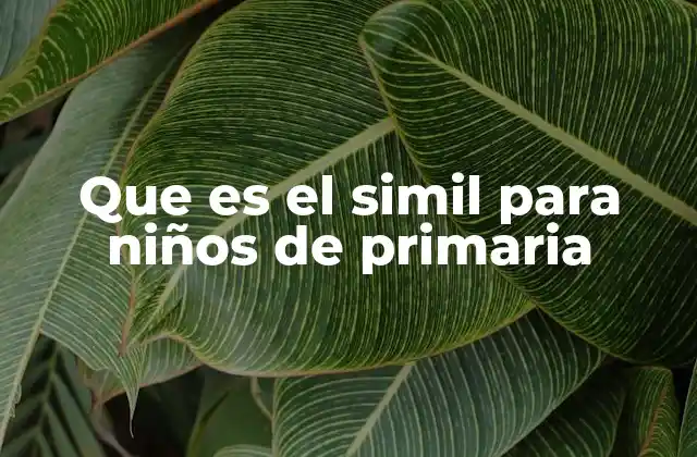 Que es el Simil para Niños de Primaria