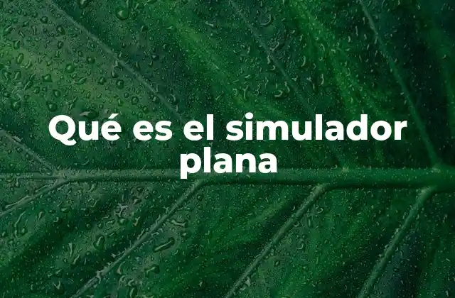 Qué es el Simulador Plana