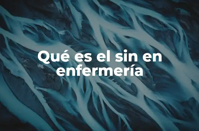 Qué es el sin en Enfermería
