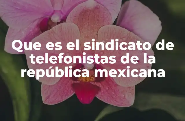Que es el Sindicato de Telefonistas de la República Mexicana
