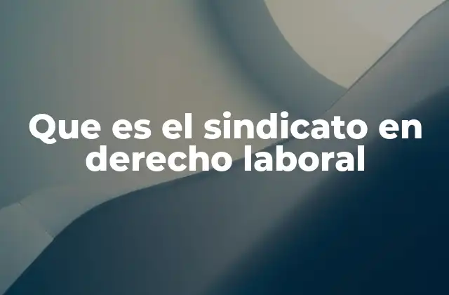 Que es el Sindicato en Derecho Laboral