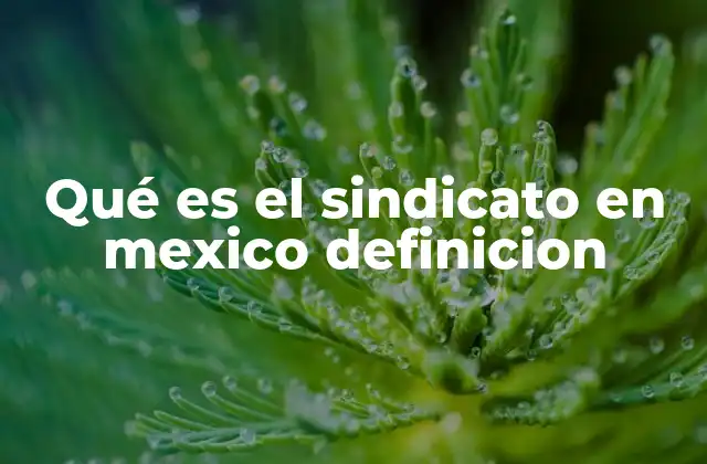 Qué es el Sindicato en Mexico Definicion
