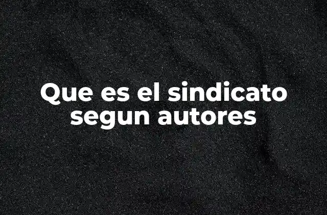Que es el Sindicato Segun Autores