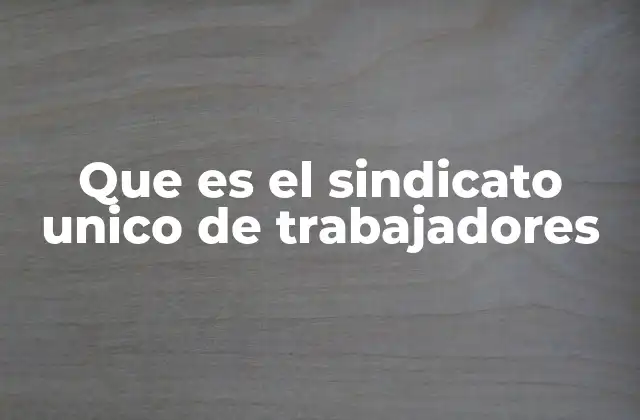 Que es el Sindicato Unico de Trabajadores
