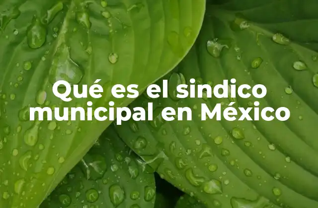 Qué es el Sindico Municipal en México