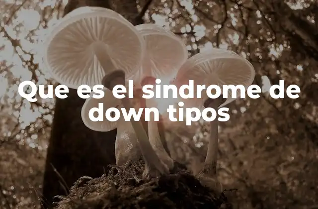 Que es el Sindrome de Down Tipos