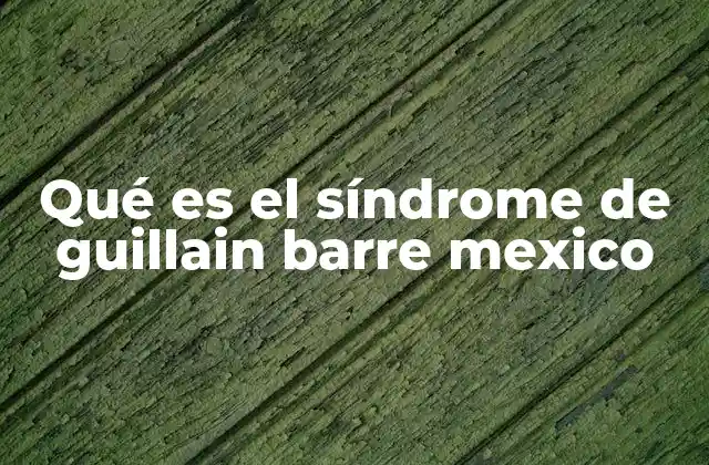 Qué es el Síndrome de Guillain Barre Mexico