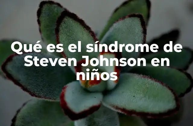 Qué es el Síndrome de Steven Johnson en Niños