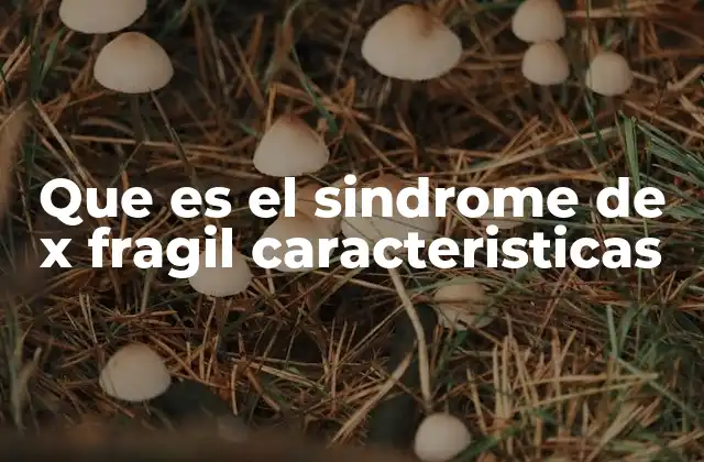 Que es el Sindrome de X Fragil Caracteristicas