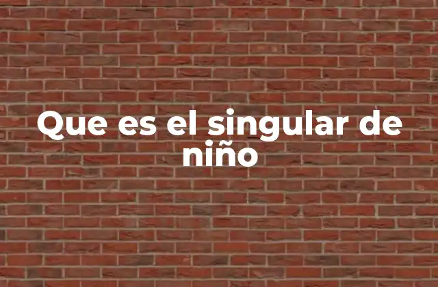 El número singular en el español