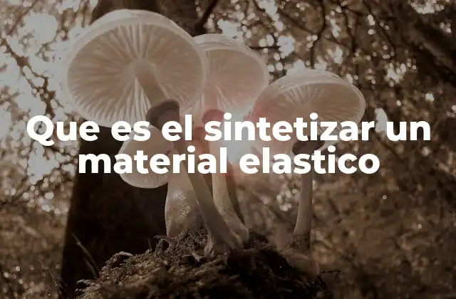 Que es el Sintetizar un Material Elastico
