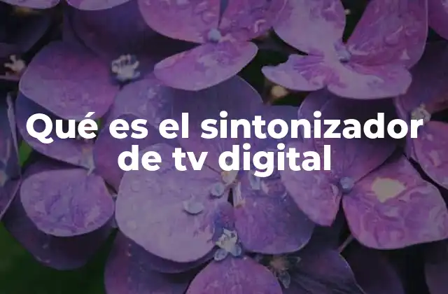Qué es el Sintonizador de Tv Digital 2 Cómo funciona el sintonizador de TV digital