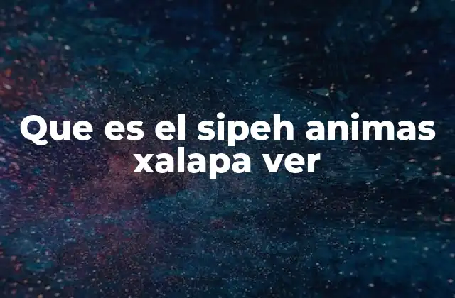 El impacto del Sipeh Animas en Xalapa