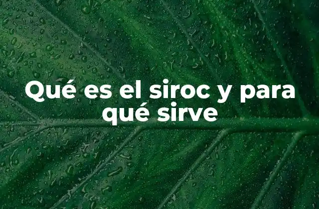 Qué es el Siroc y para Qué Sirve