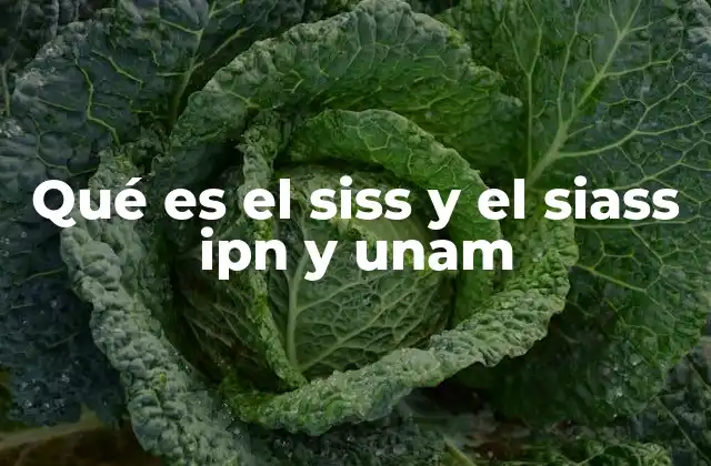 Qué es el Siss y el Siass Ipn y Unam