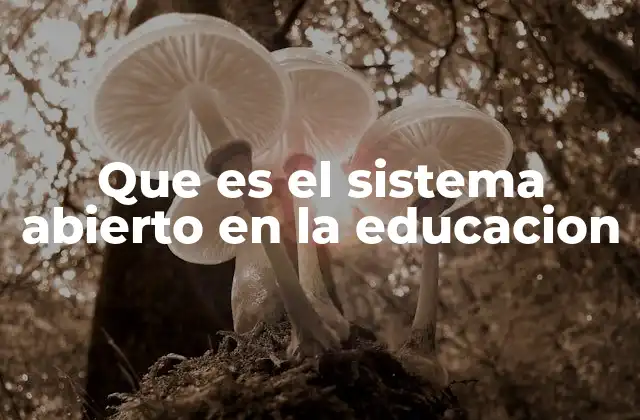 Que es el Sistema Abierto en la Educacion