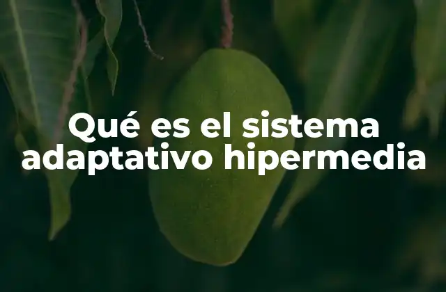 Qué es el Sistema Adaptativo Hipermedia