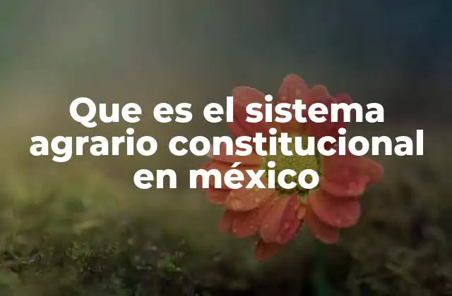 Que es el Sistema Agrario Constitucional en México