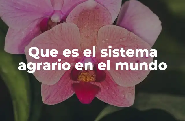 Que es el Sistema Agrario en el Mundo