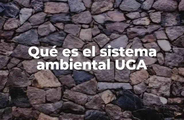 Qué es el Sistema Ambiental Uga