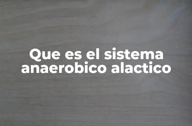 Que es el Sistema Anaerobico Alactico