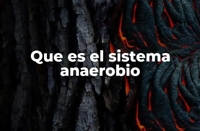 Que es el Sistema Anaerobio