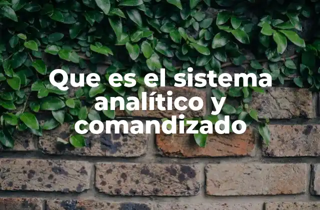 Que es el Sistema Analítico y Comandizado