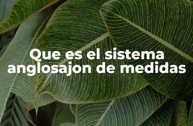 Que es el Sistema Anglosajon de Medidas