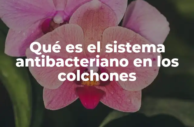 Qué es el Sistema Antibacteriano en los Colchones