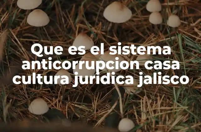 Que es el Sistema Anticorrupcion Casa Cultura Juridica Jalisco