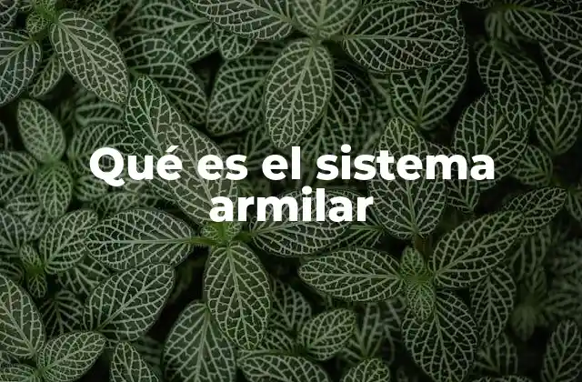 Qué es el Sistema Armilar