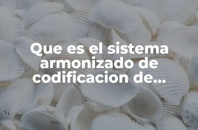 Que es el Sistema Armonizado de Codificacion de Mercancias