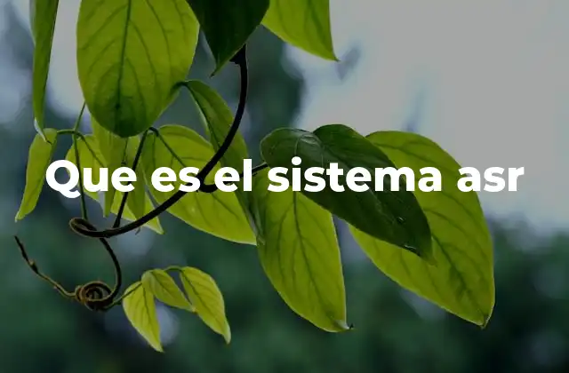 Que es el Sistema Asr
