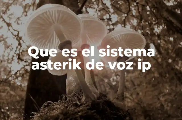 Que es el Sistema Asterik de Voz Ip