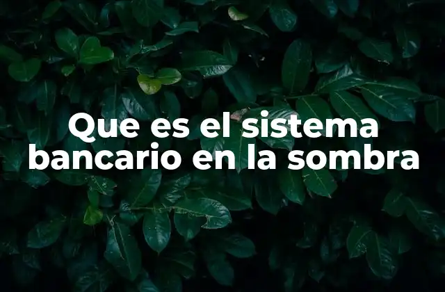 Que es el Sistema Bancario en la Sombra