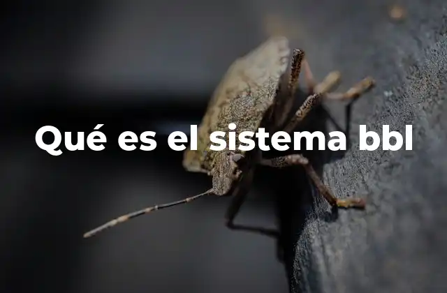 Qué es el Sistema Bbl