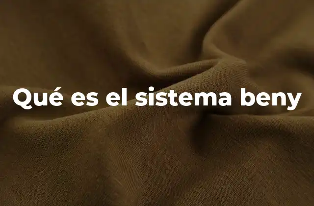 Qué es el Sistema Beny