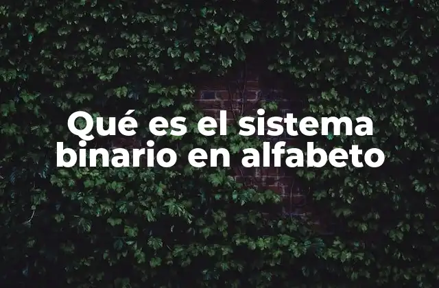 Qué es el Sistema Binario en Alfabeto