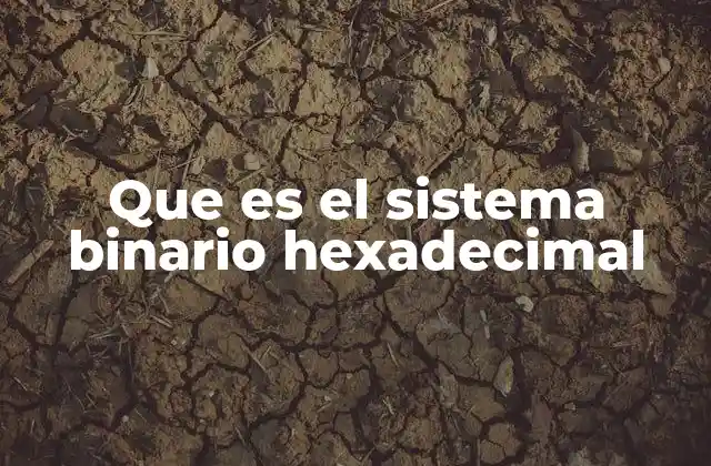 Que es el Sistema Binario Hexadecimal