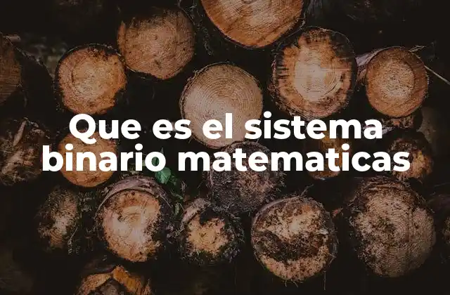 Que es el Sistema Binario Matematicas