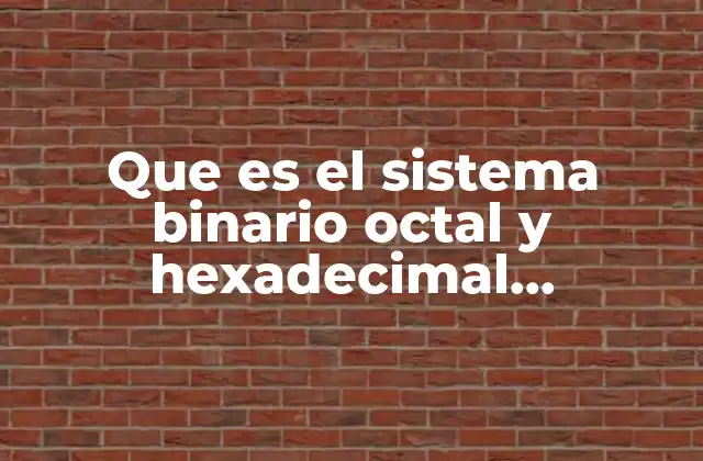 Que es el Sistema Binario Octal y Hexadecimal Computacion