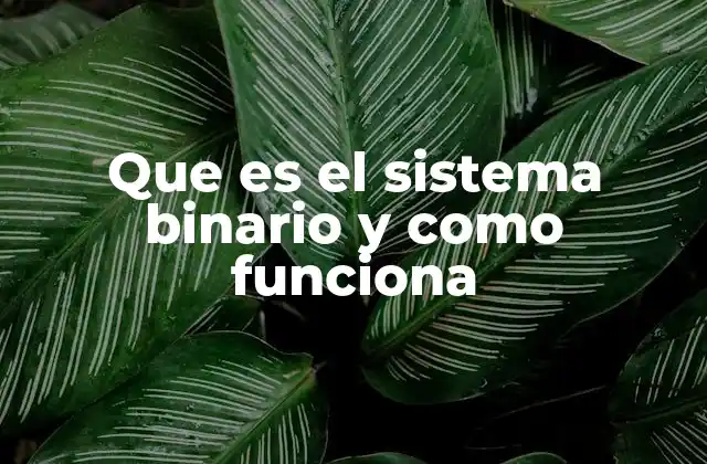 Que es el Sistema Binario y como Funciona